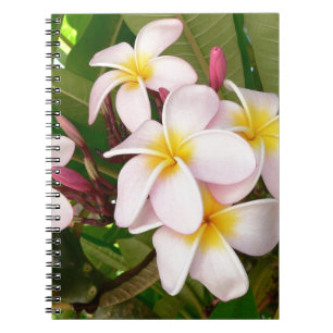 Aloha Hawaiian Frangipani Blossoms Plumerias Spiral Notebook