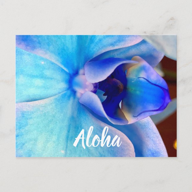 Aloha in Blue Postcard (Front)