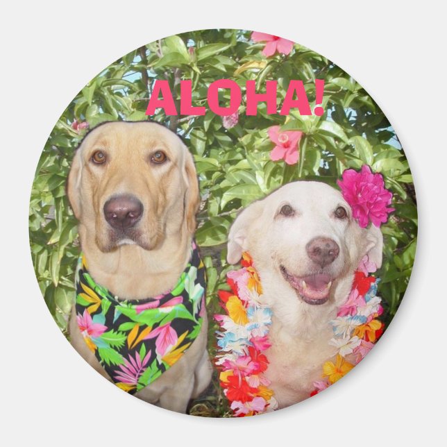 ALOHA! MAGNET (Front)