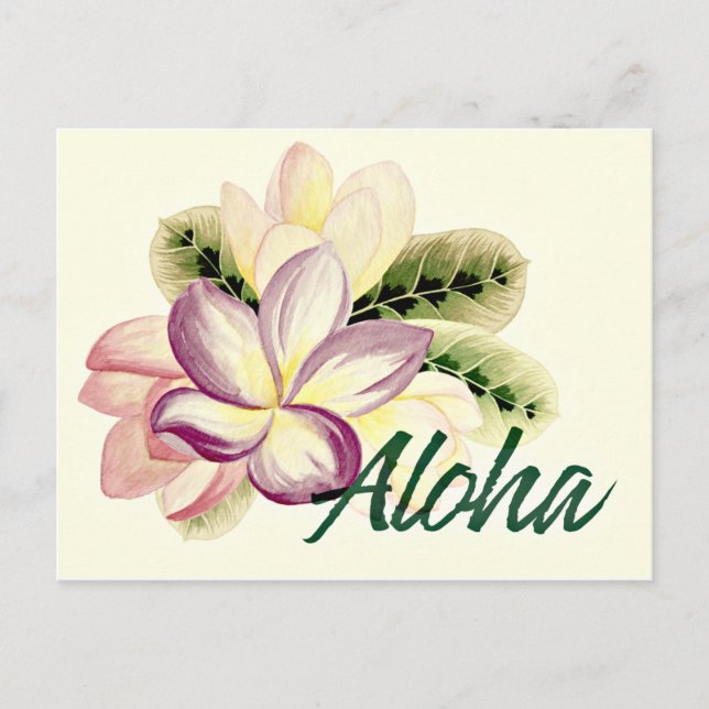 Aloha Plumeria Postcard (Front)