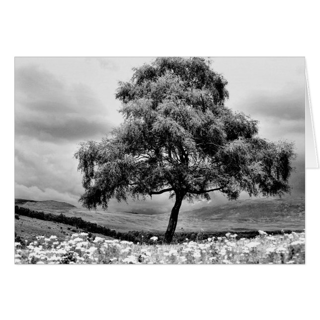 Alone (Front Horizontal)