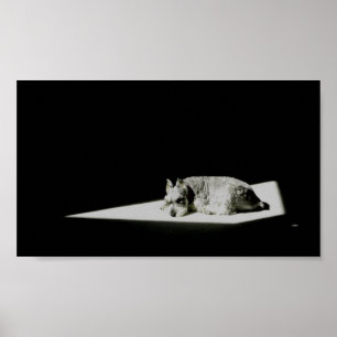 Alone in the Light Poster