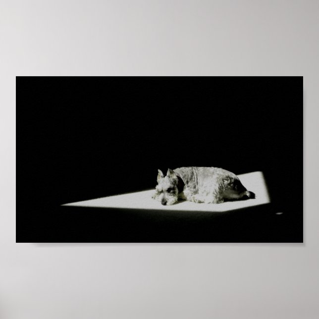 Alone in the Light Poster (Front)