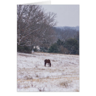 Alone In The Snow