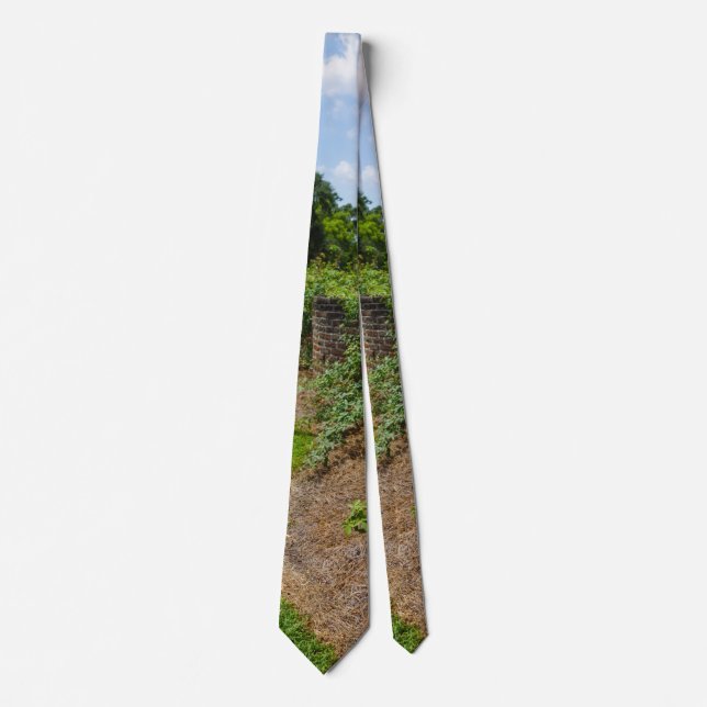 Along The Curved Wall Neck Tie (Front)