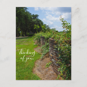 Along The Curved Wall Thinking Of You Postcard