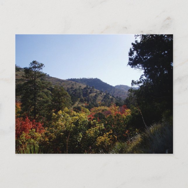 Along the Road - Canyons from Trail Postcard (Front)