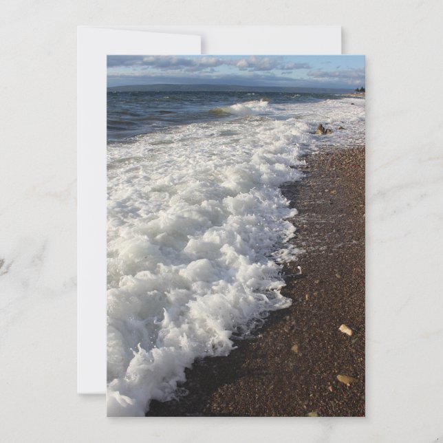 Along the shoreline. (Front)