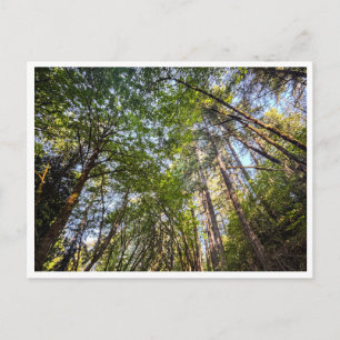Along the trail postcard