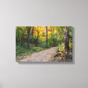 along winding forest trail of lebanon hills canvas print