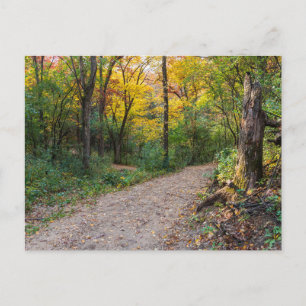 along winding forest trail of lebanon hills postca postcard