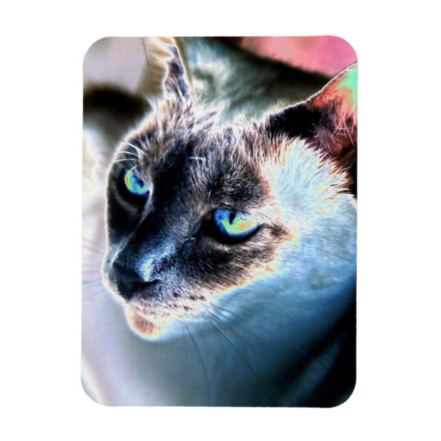 Aloof Siamese Cat Altered Flexible Magnet (Vertical)