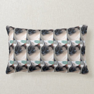 Aloof Siamese Cat Lumbar Pillow