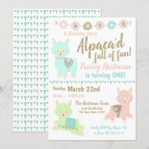 Alpaca 1st Birthday Party