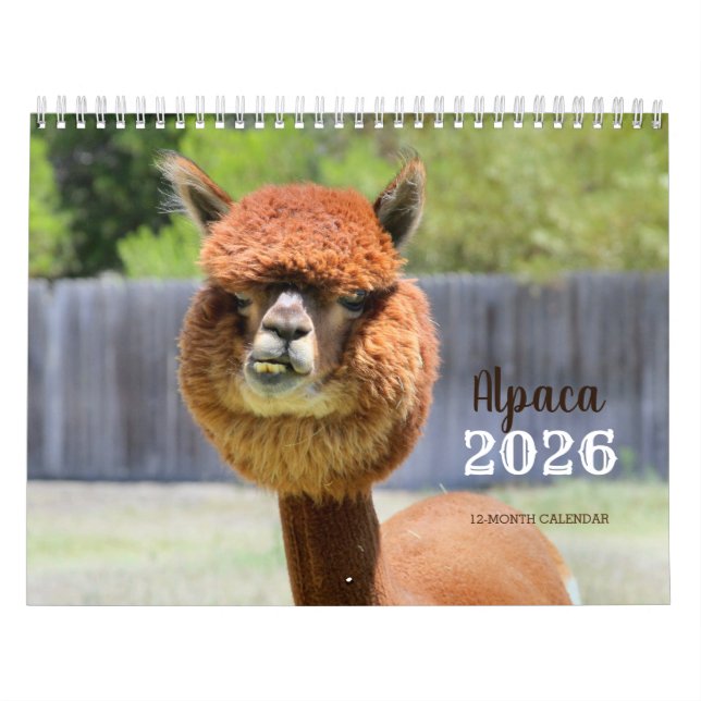 Alpaca 2025 Calendar (Cover)