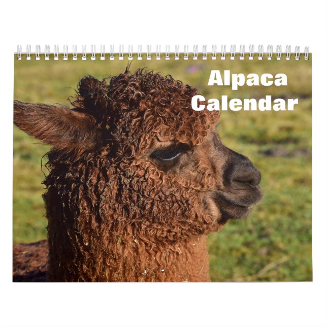 Alpaca 2025 calendar (Cover)