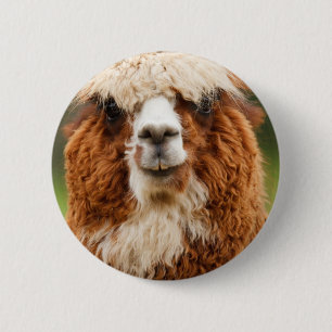 Alpaca 6 Cm Round Badge