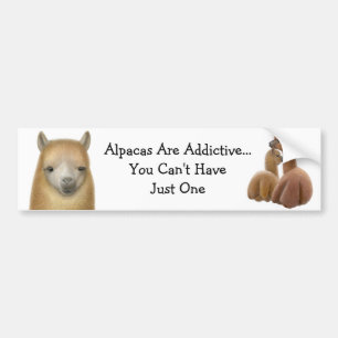 Alpaca Addiction Bumper Sticker