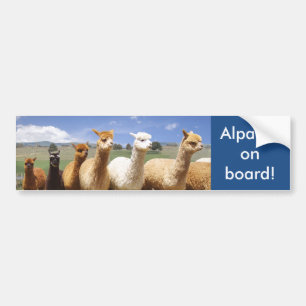 Alpaca Bumper Sticker Alpacas on Board