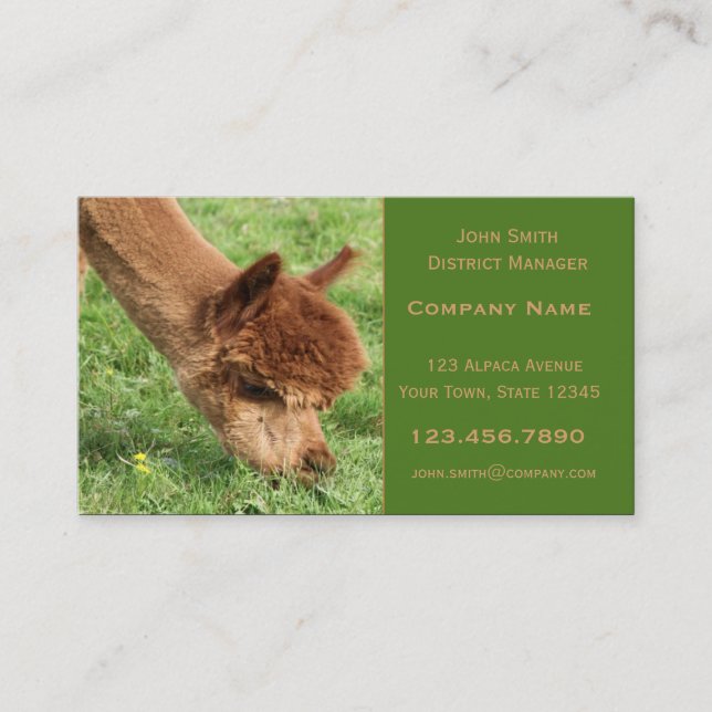Alpaca Business Card (Front)