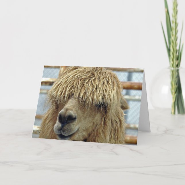 Alpaca Card (Front)