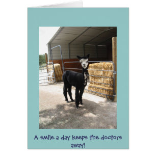 alpaca card