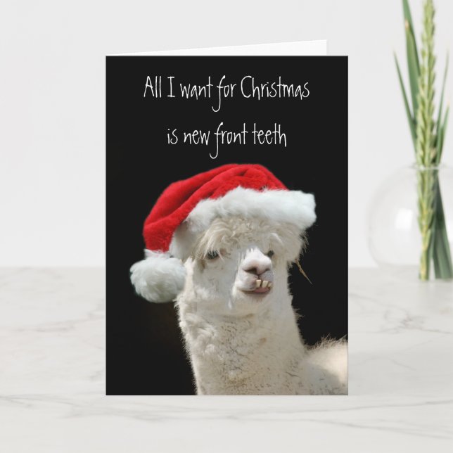 Alpaca Christmas Holiday Card (Front)