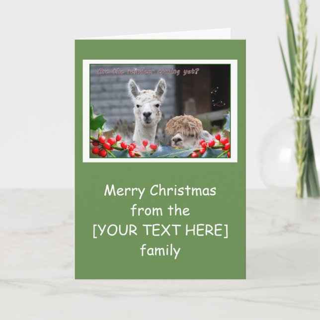 Alpaca Christmas Holiday Card (Front)