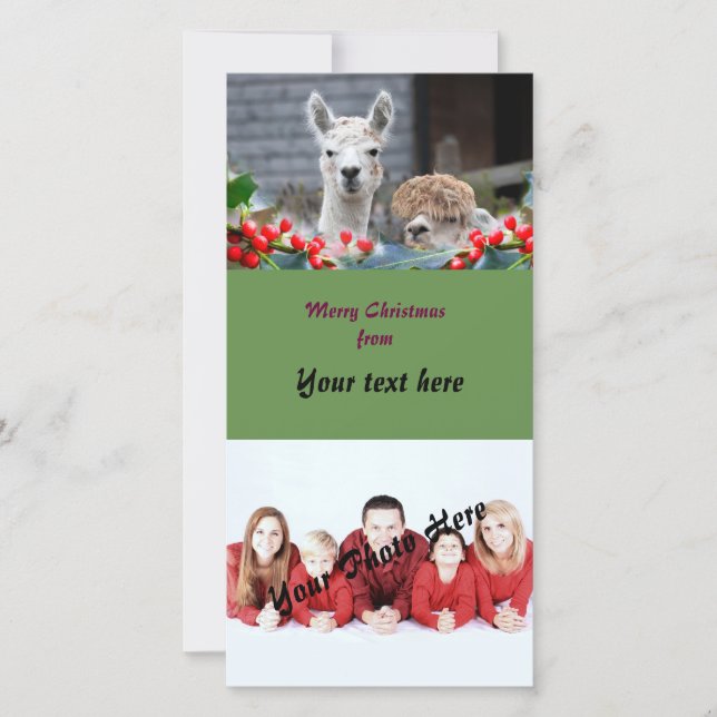 Alpaca Christmas Holiday Card (Front)