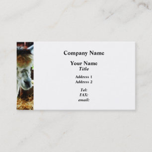 Alpaca Closeup Business Card