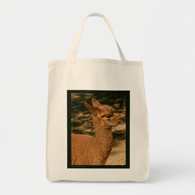 Alpaca Cria Tote Bag - "Papa's Surprise" (Front)