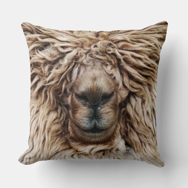 Alpaca Cushion (Front)