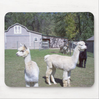 Alpaca Days Mouse Pad