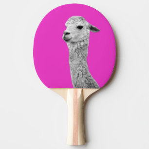 Alpaca farm animal photography black and white ping pong paddle