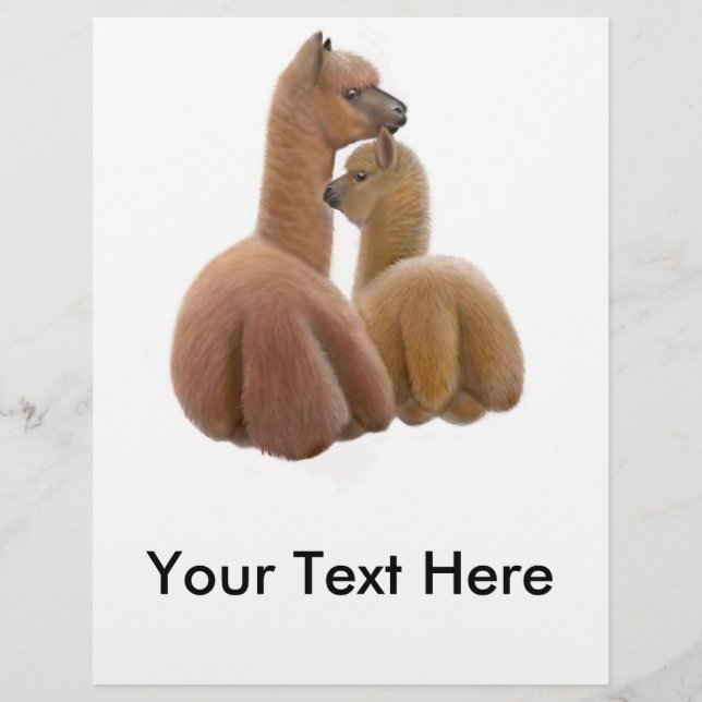 Alpaca Friends Flyer (Front)