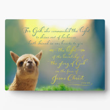 Alpaca Gold Teal Bible Quote Easel Plaque