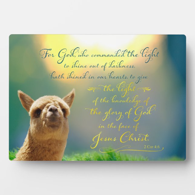 Alpaca Gold Teal Bible Quote Easel Plaque (Front)