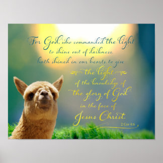 Alpaca Gold Teal Bible Quote Poster
