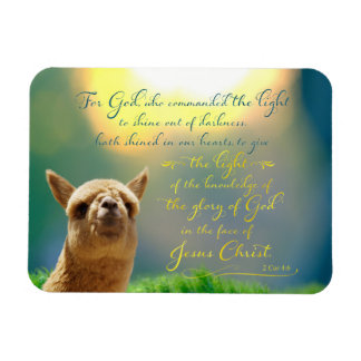 Alpaca Gold Teal Bible Verse Photo Magnet