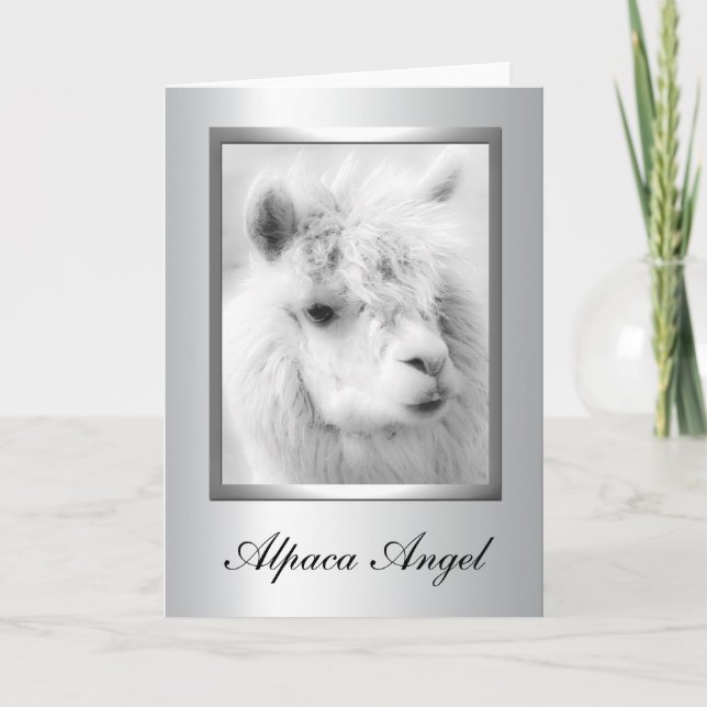 Alpaca Greeting Cards (Front)
