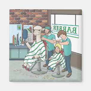 Alpaca haircut magnet