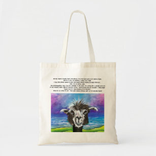 my bag nz