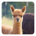 Alpaca Heart Stickers