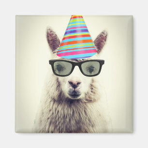 Alpaca in Glasses and Party Hat Magnet
