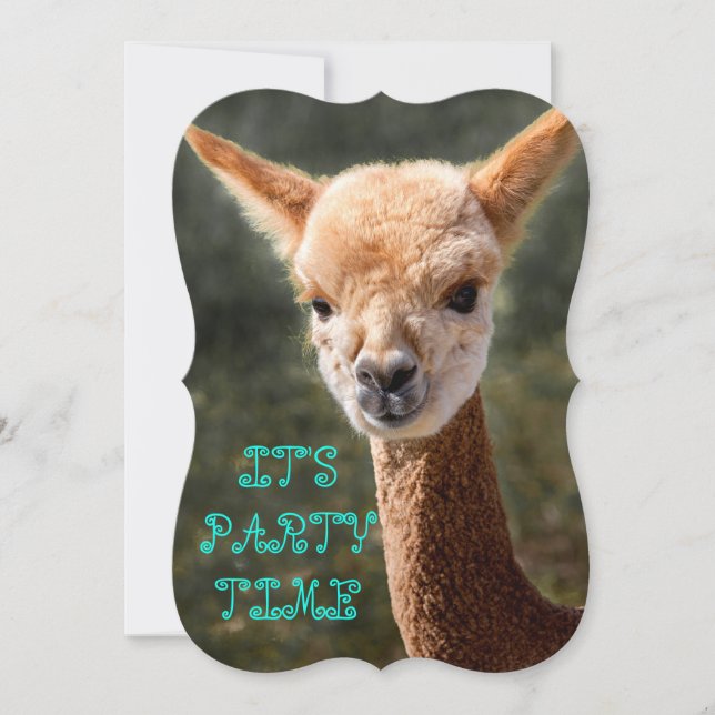 Alpaca Invitation (Front)