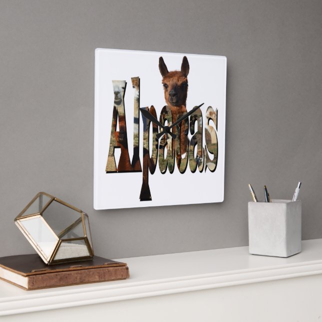 Alpaca Is The Name, Square Wall Clock (Office)