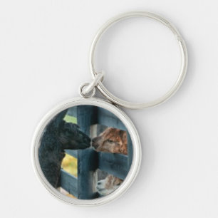 Alpaca Kissing Key Chain