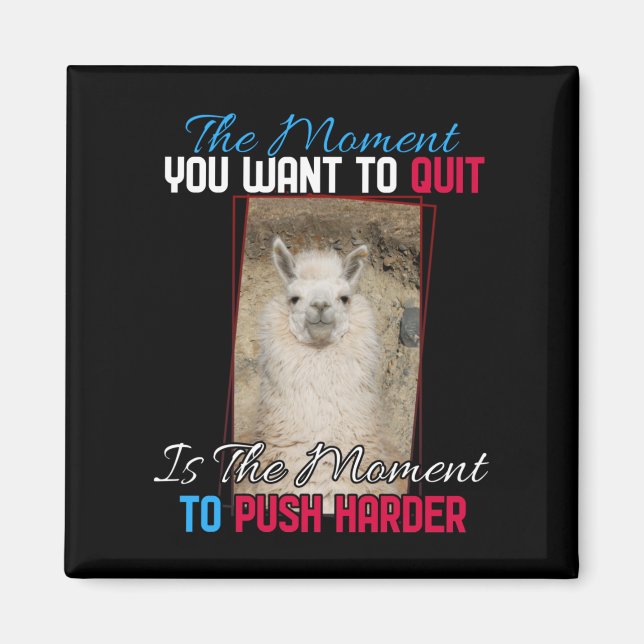 Alpaca Llama -  Push Harder Encouragement  Magnet (Front)