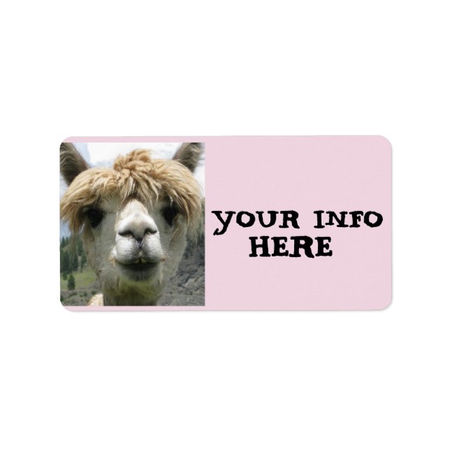 ALPACA LLAMA RETURN ADDRESS LABELS (Front)