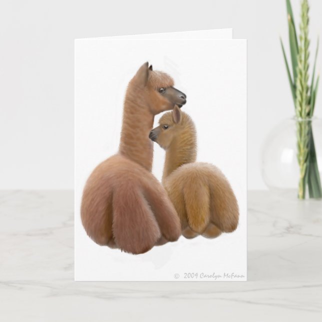 Alpaca Love Greeting Card (Front)